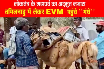 लोकसभा चुनाव के पहले चरण में कुछ घंटे पहले गधे तमिलनाडु के दूरदराज के गांवों में ईवीएम लेकर जाते हुए