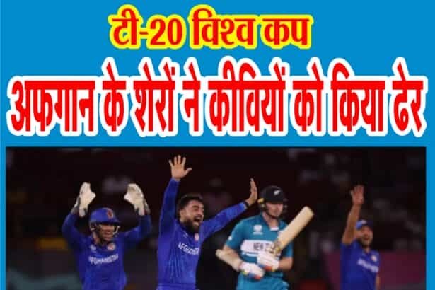 पहली बार न्यूजीलैंड को हराया, राशिद-फारुकी का ‘‘चौका’’