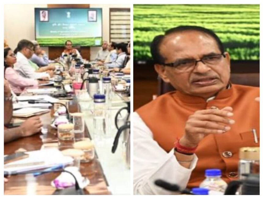 100 दिनों की कार्ययोजना: केंद्रीय कृषि मंत्री शिवराज सिंह चौहान की बैठक, किसानों पर पूरा फोकस