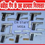 मोगा पुलिस के हाथ लगी कामयाबी, आठ पिस्टल, 16 कारतूस और एंडेवर कार बरामद