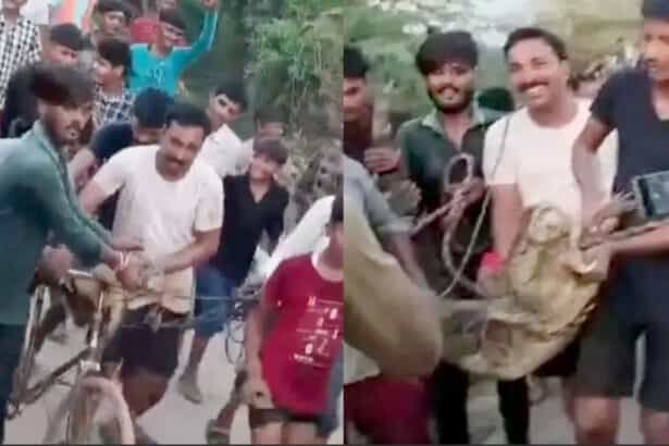 साइकिल पर बैठकर पूरे गांव में घूमा मगरमच्छ!