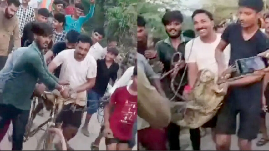साइकिल पर बैठकर पूरे गांव में घूमा मगरमच्छ!