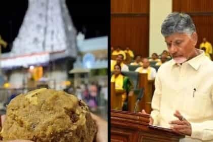 तिरुपति लड्डू विवाद: टेस्ट रिपोर्ट में गोमांस और सुअर की चर्बी का खुलासा, देश में मचा हड़कंप**