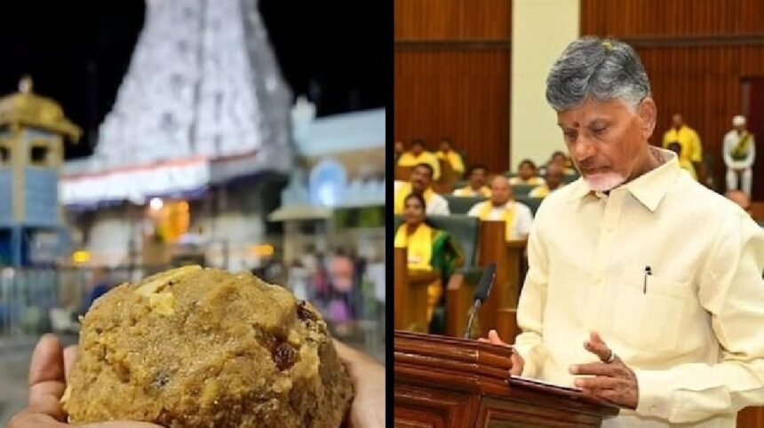 तिरुपति लड्डू विवाद: टेस्ट रिपोर्ट में गोमांस और सुअर की चर्बी का खुलासा, देश में मचा हड़कंप**