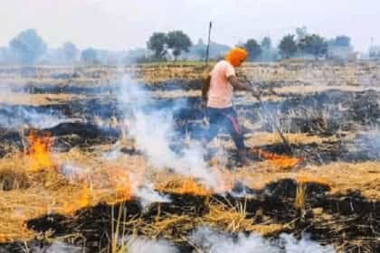 सुप्रीम कोर्ट ने पराली जलाने के मामलों को लेकर केंद्र सरकार को फटकारा : पंजाब और हरियाणा सरकारों पर भी साधा निशाना