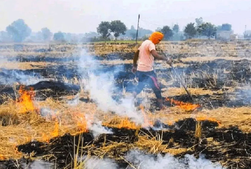 सुप्रीम कोर्ट ने पराली जलाने के मामलों को लेकर केंद्र सरकार को फटकारा : पंजाब और हरियाणा सरकारों पर भी साधा निशाना