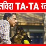 टाटा के दिल में कुत्तों के लिए था अलग स्थान, 165 करोड़ खर्च कर मुंबई में बनवा दिया डॉग हॉस्पिटल