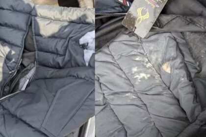 अफगान हैंडलर्स से जुड़े दो नशा तस्कर गिरफ्तार
