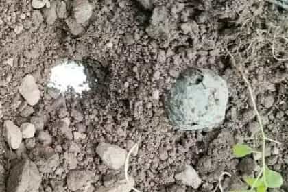 अमृतसर में आईईडी बम मिलने से इलाके में मची अफरा-तफरी, पूरा इलाका सील