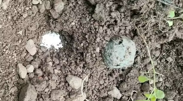 अमृतसर में आईईडी बम मिलने से इलाके में मची अफरा-तफरी, पूरा इलाका सील