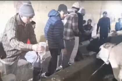 सनसनी : फगवाड़ा गोशाला में 22 गोवंश की माैत से हड़कंप, हिंदू संगठनों ने शहर बंद कराया