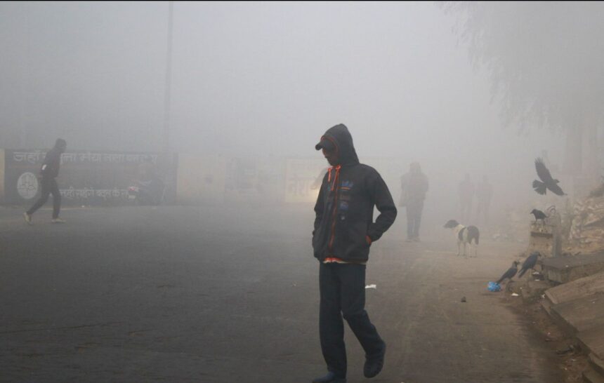 शीतलहर और घना कोहरा बढ़ा रहे ठिठुरन, मौसम विभाग ने किया अलर्ट जारी