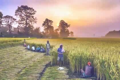 मोदी सरकार का किसानों को तोहफा