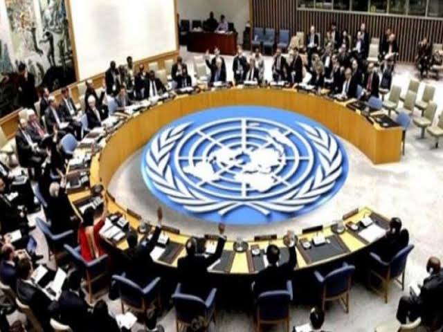 UNSC में पाक की किरकिरी, सुरक्षा परिषद ने जमकर लताड़ा