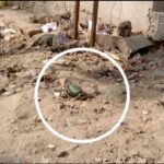 गैंगस्टर्स ने ग्रेनेड वाली पोस्ट की वायरल: पुलिस में मची भगदड़, कहा-डमी ग्रेनेड