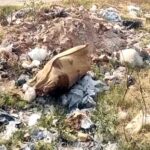 जालंधर: गांव वडाला के पास खाली प्लाट से बोरे में मिला शव; बोरे से टपक रहा था खून