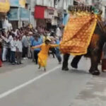 अहमदाबाद में भगवान जगन्नाथ की रथ यात्रा में हाथी बेकाबू: यात्रा में मची भगदड़