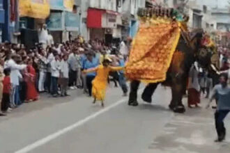 अहमदाबाद में भगवान जगन्नाथ की रथ यात्रा में हाथी बेकाबू: यात्रा में मची भगदड़
