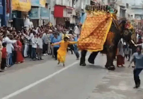 अहमदाबाद में भगवान जगन्नाथ की रथ यात्रा में हाथी बेकाबू: यात्रा में मची भगदड़