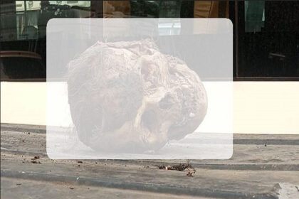 अमृतसर: दुर्ग्याणा मंदिर के पास मिली इंसानी खोपड़ी, लोगों में भय और जिज्ञासा का माहौल