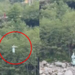 मनाली में जिपलाइनिंग के दौरान हादसा हुआ : 30 फीट की ऊंचाई गिरी 10 साल की बच्ची