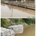 फाज़िल्का: सतलुज नदी में जलस्तर बढ़ा, ग्रामीण क्षेत्रों में दहशत का माहौल