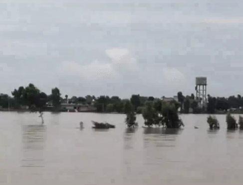 लुधियाना को सतलुज के पानी से खतरा : पाकिस्तान की तरफ मोड़ा जा रहा पानी