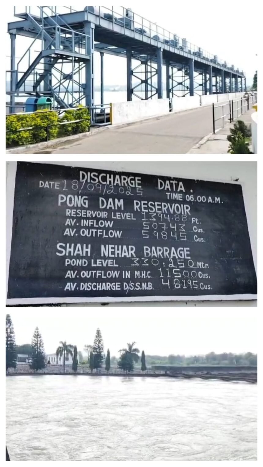 पोंग डैम की महाराणा प्रताप झील का जलस्तर घटा, बीबीएमबी बोर्ड सतर्क”**