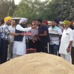 हलका विधायक और डिप्टी कमिश्नर ने अनाज मंडी करतारपुर में धान की खरीद करवाई शुरू