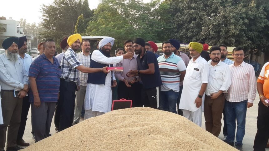 हलका विधायक और डिप्टी कमिश्नर ने अनाज मंडी करतारपुर में धान की खरीद करवाई शुरू