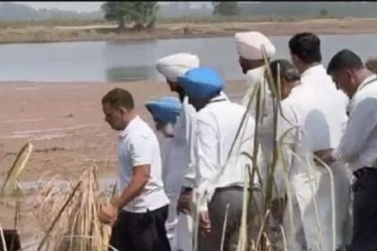 पंजाब के बाढ़ग्रस्त इलाकों में पहुँचे राहुल गांधी :  डूबी फसलें-टूटे घर देखे, किसानों से मिले