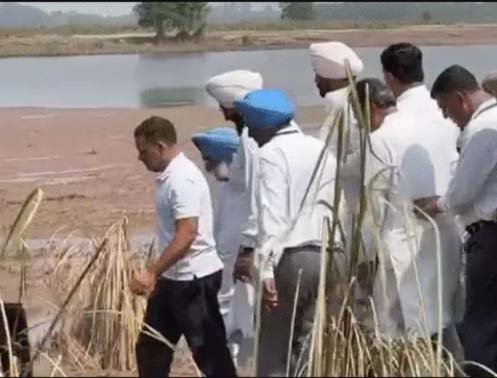 पंजाब के बाढ़ग्रस्त इलाकों में पहुँचे राहुल गांधी :  डूबी फसलें-टूटे घर देखे, किसानों से मिले