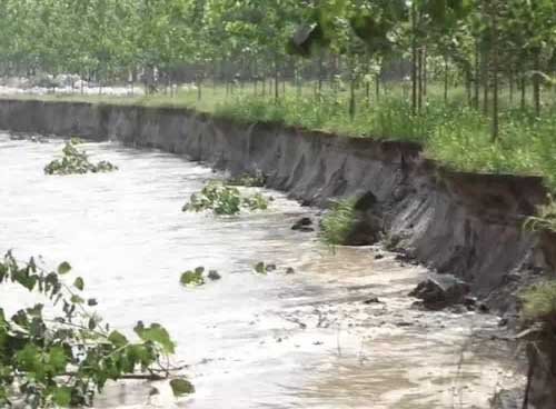 सतलुज दरिया ने बदला रास्ता : ससराली बांध पर खतरा; लुधियाना DC ने सेना से मांगी मदद