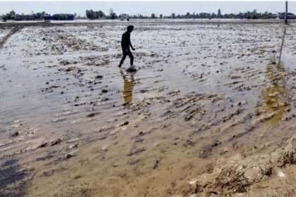 पंजाब में दरियाओं का उफान थमा : पानी उतरने के बाद घरों को लाैटने लगे लोग