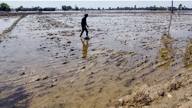 पंजाब में दरियाओं का उफान थमा : पानी उतरने के बाद घरों को लाैटने लगे लोग