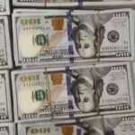 दुबई से मुंबई पहुंचे यात्री के ट्रॉली बैग से 87 लाख की विदेशी मुद्रा बरामद, एयरपोर्ट कस्टम की बड़ी कार्रवाई