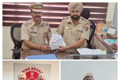 जालंधर पुलिस की बड़ी कार्रवाई: 92.4 ग्राम हेरोइन और 124 नशे की गोलियां बरामद, NDPS एक्ट के तहत 9 केस दर्ज – 12 आरोपी गिरफ्तार