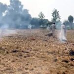 लुधियाना के मुल्लांपुर दाखा में पराली जलने की शिकायत पर पहुंचे अफसर के मुंह पर फेंकी गर्म चाय, पगड़ी भी उछाल दी ; किसान पर केस