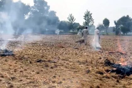 लुधियाना के मुल्लांपुर दाखा में पराली जलने की शिकायत पर पहुंचे अफसर के मुंह पर फेंकी गर्म चाय, पगड़ी भी उछाल दी ; किसान पर केस