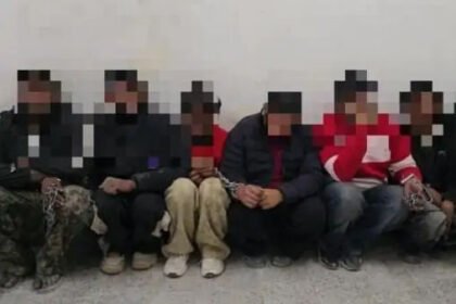 नशीली गोलियों की तस्करी करने वाले गिरोह के 8 युवक गिरफ्तार;  42 हजार प्रेगाबलीन कैप्सूल और ट्रामाडोल गोलियों मिली