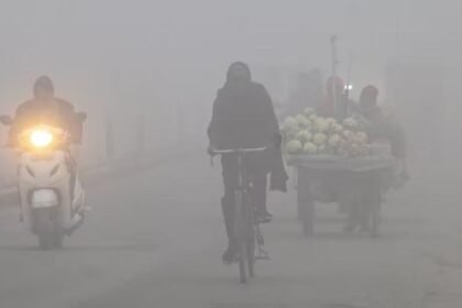 पंजाब और चंडीगढ़ में घना कोहरा छाया : चंडीगढ़-अमृतसर एयरपोर्ट की 8 फ्लाइट डिले; हिमाचल में न्यू ईयर पर बर्फबारी