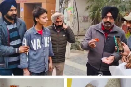 वन्यजीव अंगों की तस्करी का भंडाफोड़: तीन आरोपी गिरफ्तार, सांभर के सींग, हाथाजोड़ी और जंगली बिल्ली के अंग बरामद”