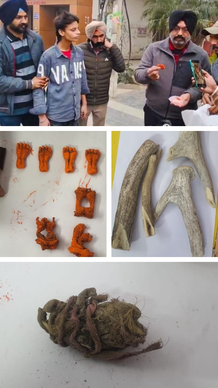 वन्यजीव अंगों की तस्करी का भंडाफोड़: तीन आरोपी गिरफ्तार, सांभर के सींग, हाथाजोड़ी और जंगली बिल्ली के अंग बरामद”