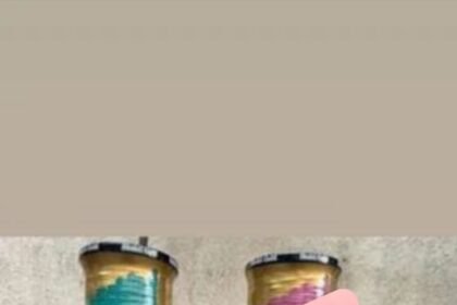 चाइना डोर की बिक्री, स्टोरेज और इस्तेमाल पर पूरी तरह पाबंदी