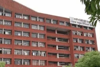 पंजाब में फर्जी सर्टिफिकेट से सरकारी नौकरी हासिल करने का मामला: PSEB की वेरिफिकेशन में खुली पोल, रिकॉर्ड में ब्लैकलिस्ट किया