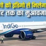 इंडिगो देगा इन यात्रियों को 5000 से 10,000 तक का मुआवजा : जानें कैसे कर सकते हैं क्लेम