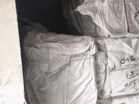 जालंधर के राज नगर इलाके में एक बंद क्वार्टर से भारी मात्रा में चाइना डोर के गट्टू बरामद : केस दर्ज, पुलिस जांच में जुटी