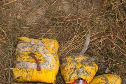 पंजाब में बड़ी नार्को कार्रवाई: 19.980 किलो हेरोइन बरामद, 4 आरोपी गिरफ्तार