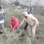 जालंधर के पठानकोट चौक के रिहायशी इलाके में जंगली सांभर होने से मचा हड़कंप : वन विभाग और पीसीआर टीम ने कड़ी मशक्कत के बाद पकड़ा