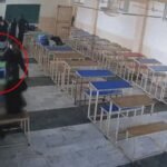 तरनतारन में सनसनी: क्लासरूम में घुसकर लॉ छात्रा की गोली मारकर हत्या, आरोपी छात्र ने खुद को भी मारी गोली